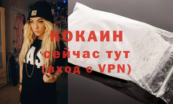PSILOCYBIN Козловка