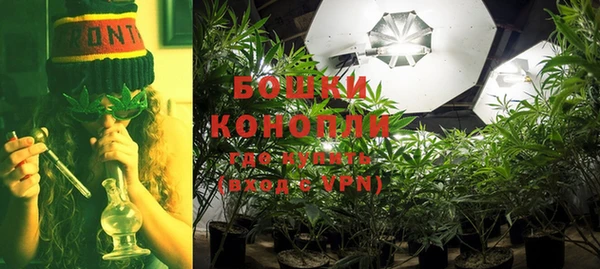 СК Кодинск