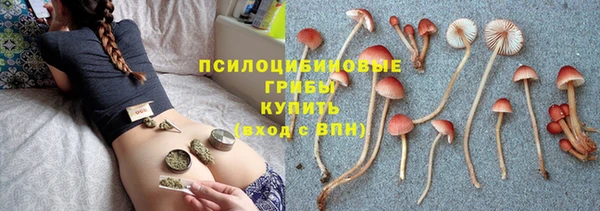 PSILOCYBIN Козловка