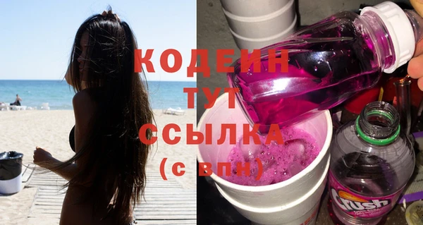 PSILOCYBIN Козловка