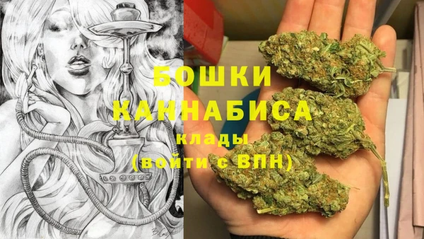 стафф Козельск