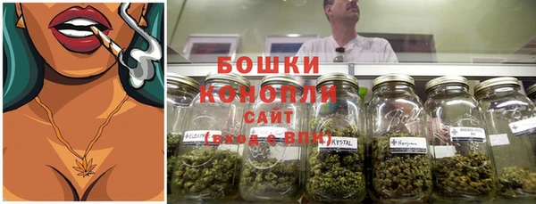 стаф Кирс