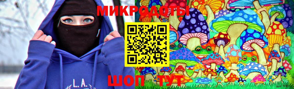 Псилоцибиновые грибы Psilocybe  Псилоцибиновые грибы прущие грибы  Новокузнецк 