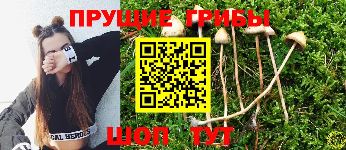 Галлюциногенные грибы MAGIC MUSHROOMS Новокузнецк