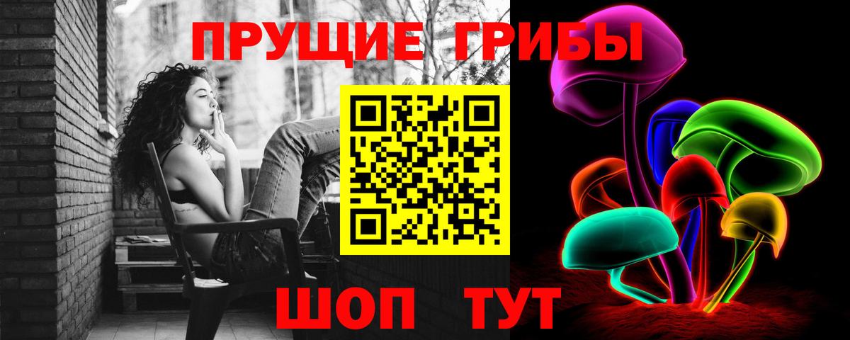 Псилоцибиновые грибы мицелий Новокузнецк